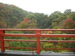 yukiwari bridge red leaves03.jpg
